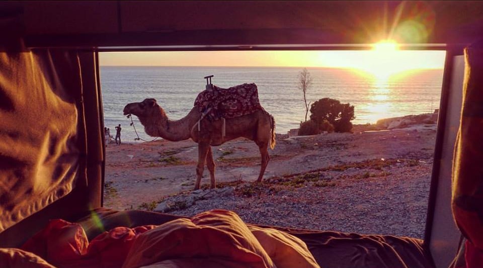 camel trek sahara vanlife 4x4 desert sunrise van westfalia digital nomand vanlife vanlifers house is where you park it plaza plage surfers surf 2016 morocco portugal destination ifran taghazout blue sky mercedes benz porsche ferrari fiat 126 opony pneu tyre camp campfire side tent desert habibi tour 