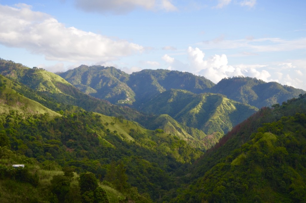 jamaica boat caribbean island paradise valleywater lagoon rainforest dancehall bob marley